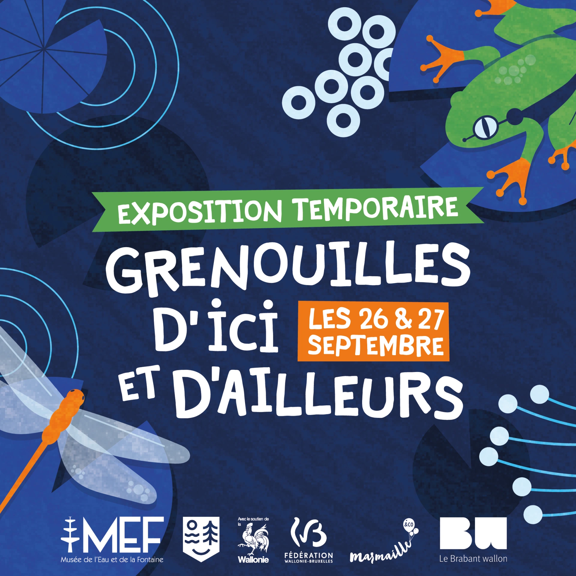 GRENOUILLES CARRE